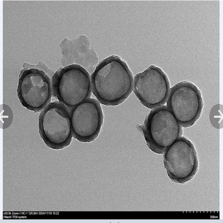 中空介孔聚多巴胺納米顆粒